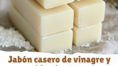Ingredientes para Jabón Casero