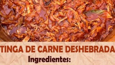 TINGA DE CARNE DESHEBRADA