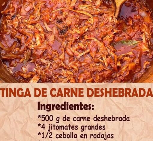 TINGA DE CARNE DESHEBRADA TINGA DE CARNE DESHEBRADA