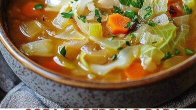 Sopa