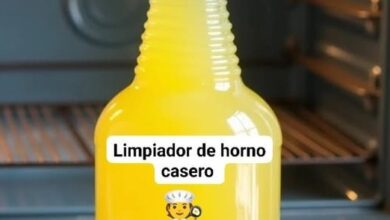 Limpiador de Horno Casero