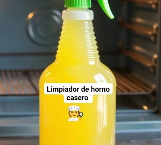 Limpiador de Horno Casero Limpiador de Horno Casero