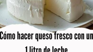 Queso Fresco con 1 Litro de Leche